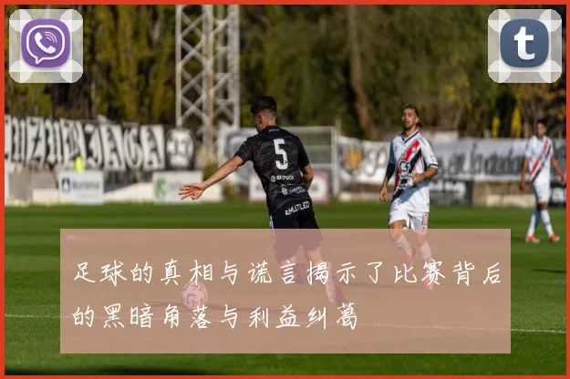足球的真相与谎言揭示了比赛背后的黑暗角落与利益纠葛
